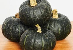 婴儿吃黄金贝贝瓜,宝宝辅食新选择，营养美味两不误