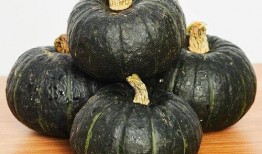 婴儿吃黄金贝贝瓜,宝宝辅食新选择，营养美味两不误