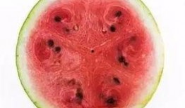 玄学大师科学吃瓜,科学吃瓜的奇妙之旅