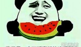 什么瓜是群众吃的,揭秘群众喜爱的“群众瓜”