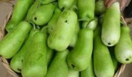 宝宝老吃葫芦瓜,营养美味两不误