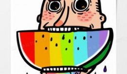 吃瓜的熊猫老师