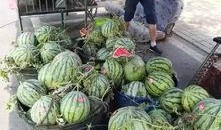 丹东疫情吃瓜事件,揭秘网络舆论的风云变幻