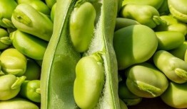 吃完蚕豆可以吃瓜,营养美味两不误