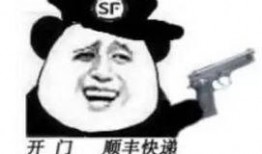 熊猫吃瓜表情,萌态百出，趣味横生