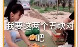 吃瓜套路钱,钱背后的真相与反思