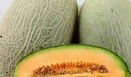 哈密瓜哈密瓜怎么吃,解锁夏日清新口感