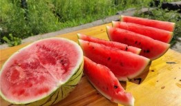 吃瓜要去哪里吃,揭秘各大美食聚集地