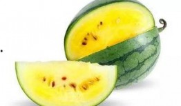 今日吃瓜必吃瓜图片,揭秘吃瓜必看瓜图背后的故事