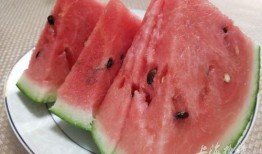 吃瓜的牛图片,吃瓜牛的趣味瞬间