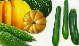 忆江南吃瓜,瓜果飘香，品味夏日风情