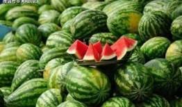 吃瓜很多,吃瓜群众眼中的明星生活