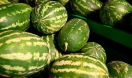 丹东疫情吃瓜事件,揭秘网络舆论的风云变幻