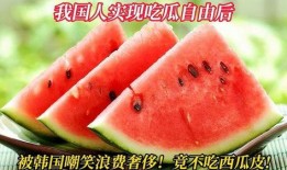 吃韩国瓜,揭秘“吃瓜”背后的故事