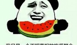 吃沙瓜会变傻瓜