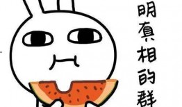 吃瓜来的,吃瓜群众视角下的娱乐圈风云录